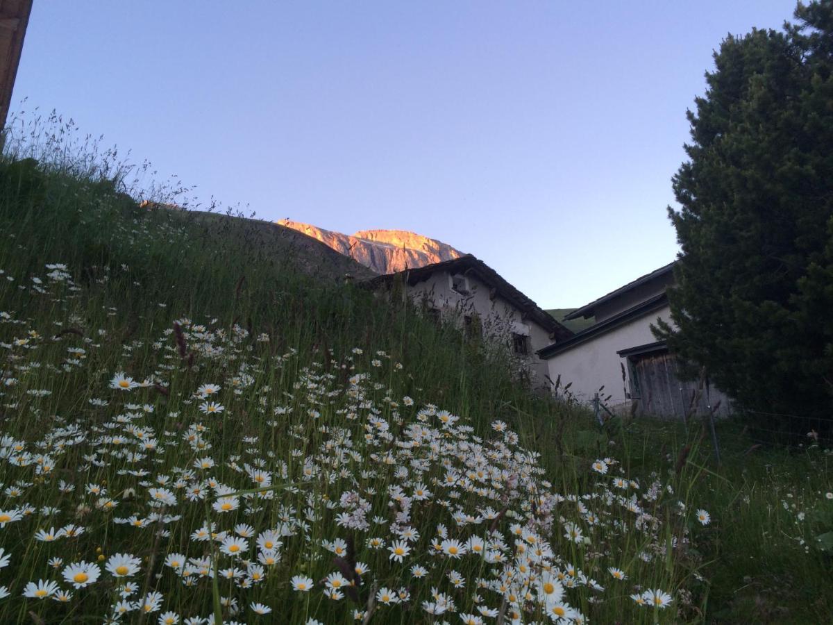 Hotel Capetta Avers Exterior photo